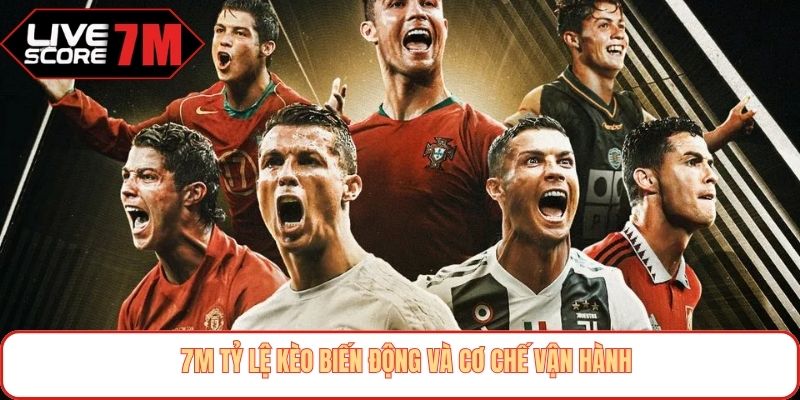 7m tỷ lệ kèo biến động và cơ chế vận hành