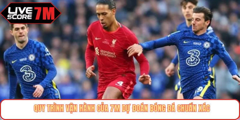 Quy trình vận hành của 7M dự đoán bóng đá chuẩn xác