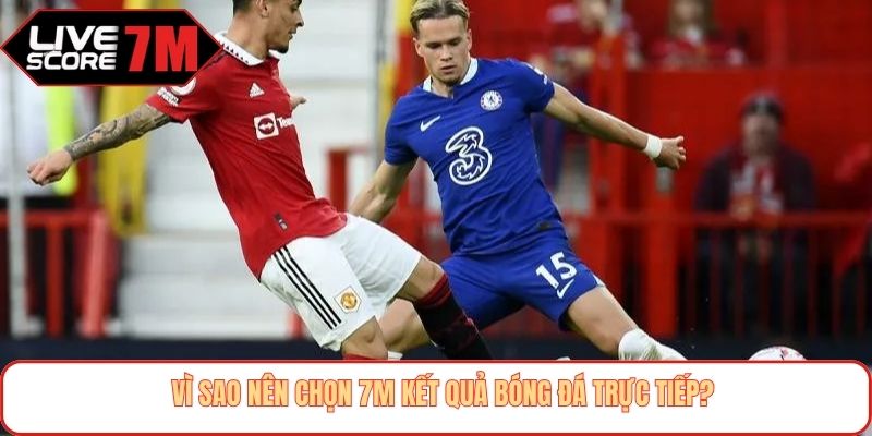 Vì sao nên chọn 7M kết quả bóng đá trực tiếp?